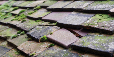 Rolleston roof repair costs